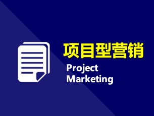 项目型营销